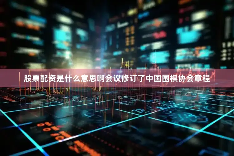 股票配资是什么意思啊会议修订了中国围棋协会章程