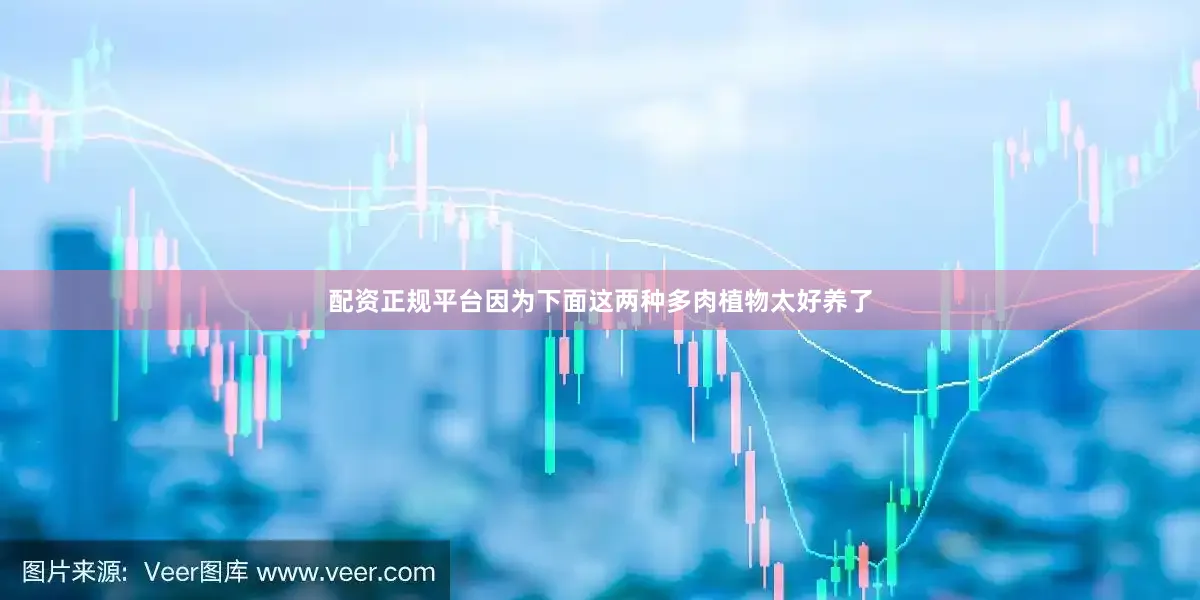 配资正规平台因为下面这两种多肉植物太好养了