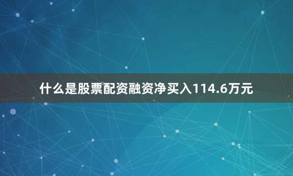 什么是股票配资融资净买入114.6万元